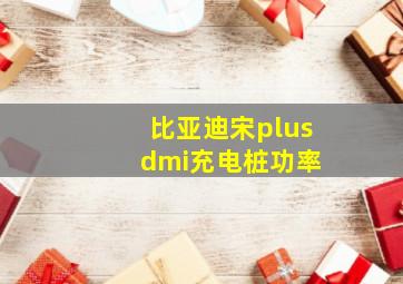 比亚迪宋plus dmi充电桩功率